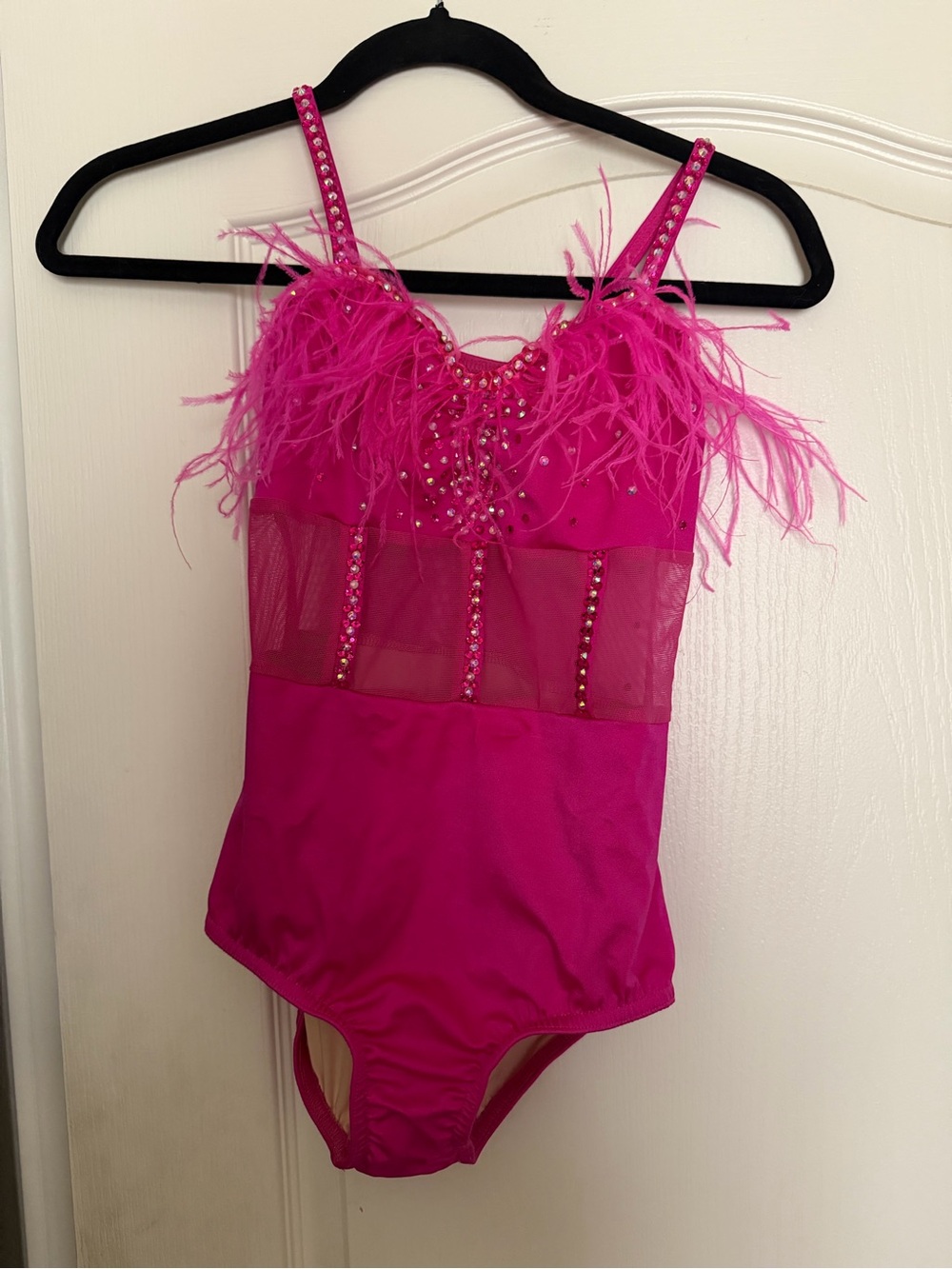 Kelle- Hot Pink Feathered Embellished Leotard
